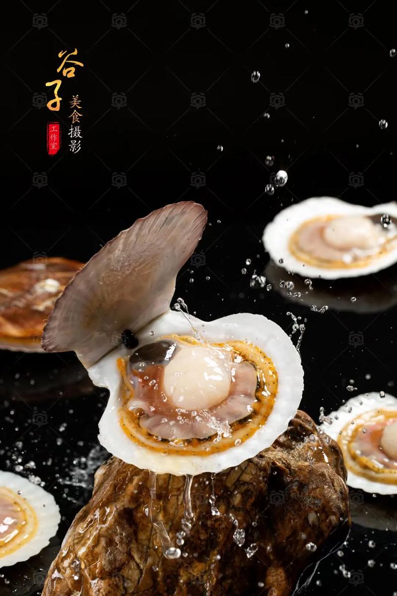 海鲜拍摄合集.前期策划(图片风格,产品表现,采购备料),拍摄